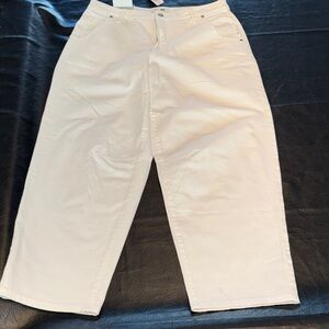 Banana Republic Cream Mid-Rise Barrel Jeans, NEW, size 31/12
